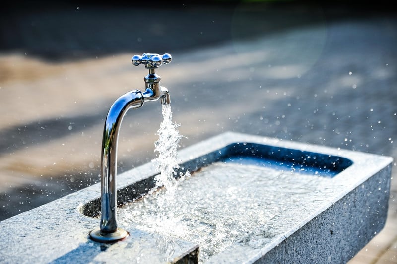 Portable Water Filter