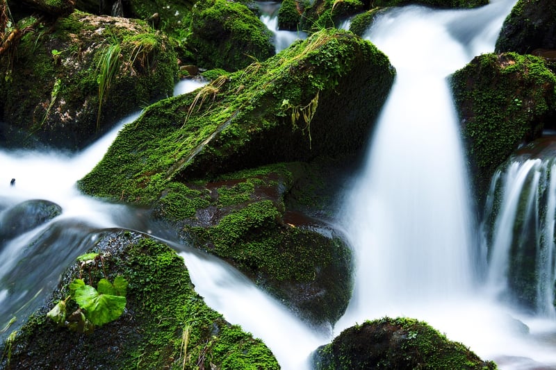 water source